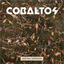 cobaltos.bandcamp.com