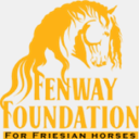 fenwayfoundation.com