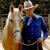 downloadbodyoflies.weebly.com