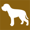 lagotto-terracarnica.com