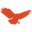 l-c-d-f-tankyo.net