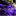 thundersync.com
