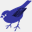 thebirdstoreandmore.net