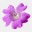geranium-soft.com