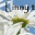 linnytscq.wordpress.com