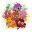 moshigirlz2013.wordpress.com