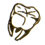 dr-hengsten-krefeld.de