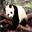 wangyoann.over-blog.com