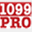 1099professional.com