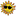 conventionsintheyard.com