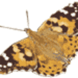 kunstgalerie-seraphin-art.de