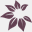 holisticself.ca