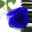 elle326.wordpress.com