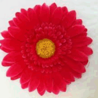 buhrslandscaping.com