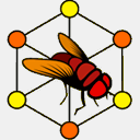 fruitflybrain.org