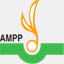 ampp.eu