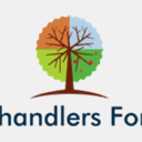 chandlersford.org.uk