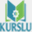 kurslu.com