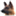 activedogs.com