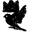 crownsparrow.com