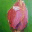 sandrabarthpaintings.wordpress.com