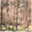 victorianbushfirecommunities.wordpress.com