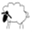 chimwemwe.net