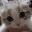 dozhubblog.wordpress.com