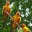 itmanagercorner.wordpress.com
