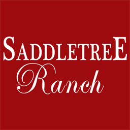 saddletreeranch.com