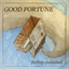 goodfortune.bandcamp.com