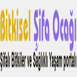 bitkiselsifaocagi.com