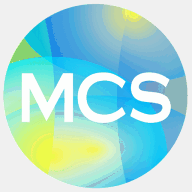 nems-it.com