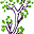 freshstartofillinois.org