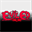 evil-ed.de