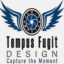 tempusfugitdesign.com