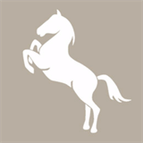 larkinhorses.com