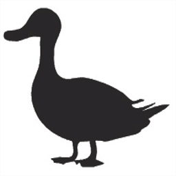 mypetitcanard.co.uk