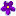 iavs-online.org