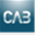 cabdesignguidelines.wordpress.com