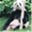 rexinhk.wordpress.com