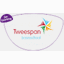 tweespan-lemmer.nl