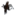 falkefoto.no