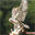 iangarlandfalconry.com
