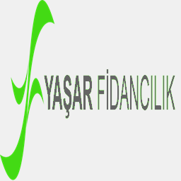 brianismert.com