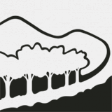 mtwilsoncob.org