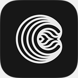 cynaps-systems.com