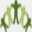 mountroyalchiropractor.ca