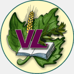 lusanvusolutions.com