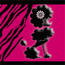 chines-cwk.com